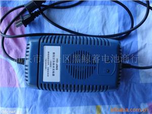 批发电动车智能正负脉冲充电器