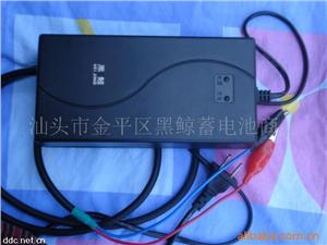 厂家直销电瓶车正负脉冲充电器