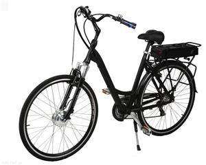 浙江宝归来250W锂电池电动自行车