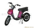 尼康16寸都市小旋风电动自行车