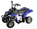 四轮电动沙滩车,350W  36V 马力十足的ATV