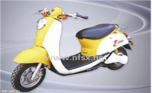 电摩款-小龟王48V800W