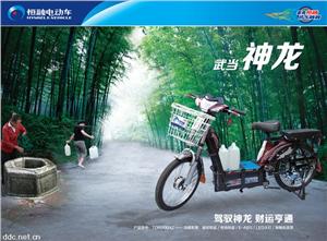 恒融载重款武当神龙电动自行车