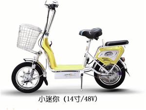 小迷你、电动车