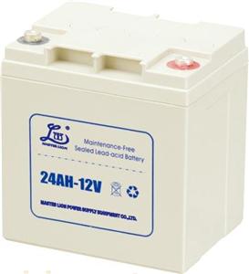 寿命特长12V24AH雄狮UPS蓄电池