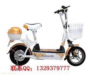 厂家特价甩卖绿源电动车绿源FT-4bT电动自行车