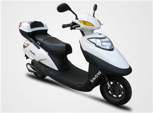 载重狮龙大霸王电动摩托车