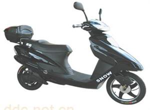 狮龙电动车豪华系列公主A5