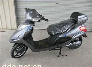 狮龙电动车豪华系列总统