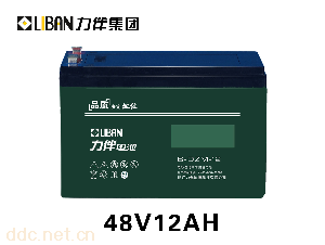 供应6-DZM-12电动自行车电池
