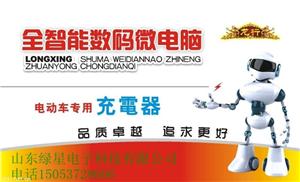 电动车绿星充电器