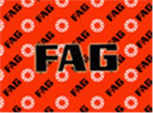 进口轴承 fag向心球轴承4204