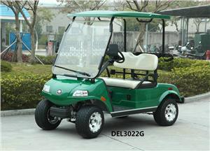 戴尔乐DEL3022G 2座电动高尔夫球车
