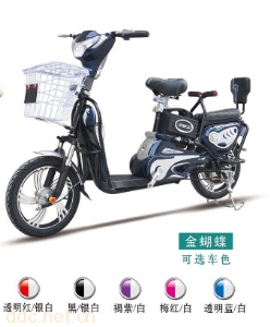 帝威龙简易款电动车-金蝴蝶
