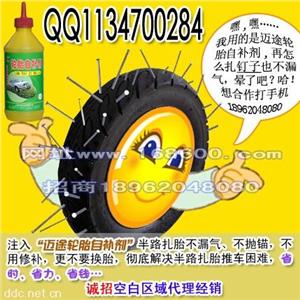 进口原料超强防冻防锈轮胎自动补胎剂
