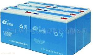 华正动力型6-DZM-20电动车专用蓄电池