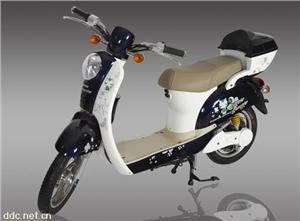 厦门路羊800W48V迷你电动自行车