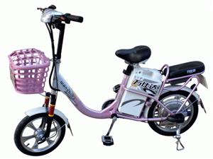 天津万仕达才子1代电动自行车