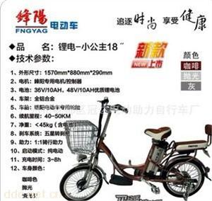 广州18寸小公主锂电动自行车