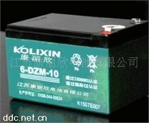康丽欣电动车排气式蓄电池