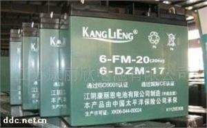 康丽欣DZM-12A电动车蓄电池