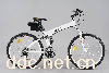 跑客电动车