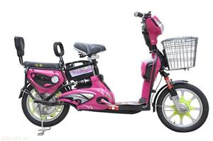 哈迪金茉莉简易款电动车