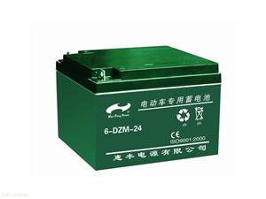 惠丰6-DZM-24(cn)蓄电池